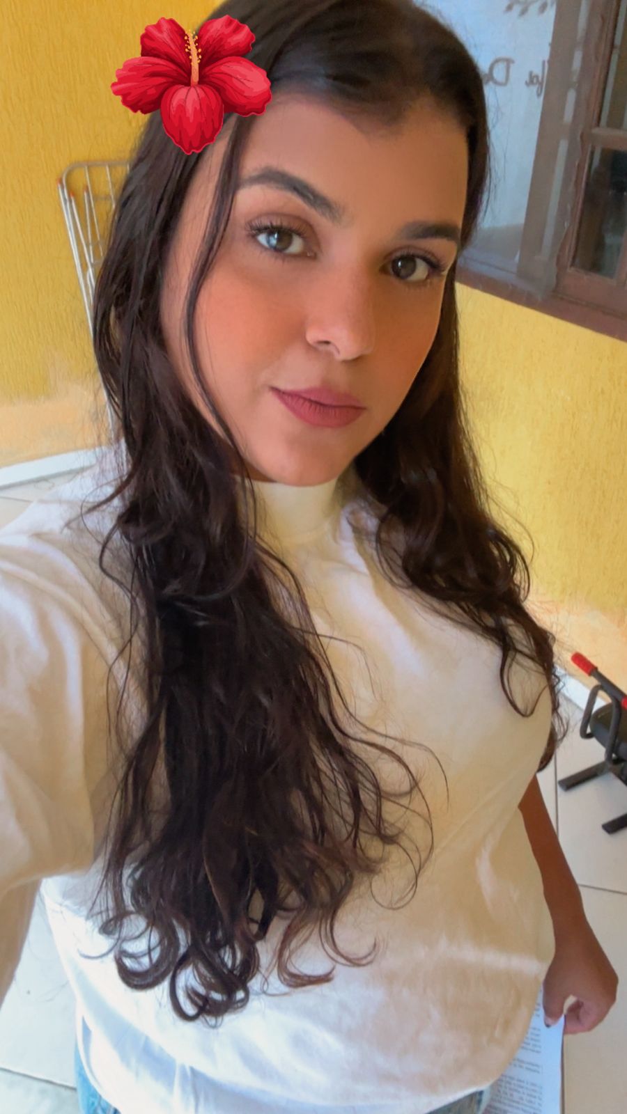 Lavínia Pereira Venceslau